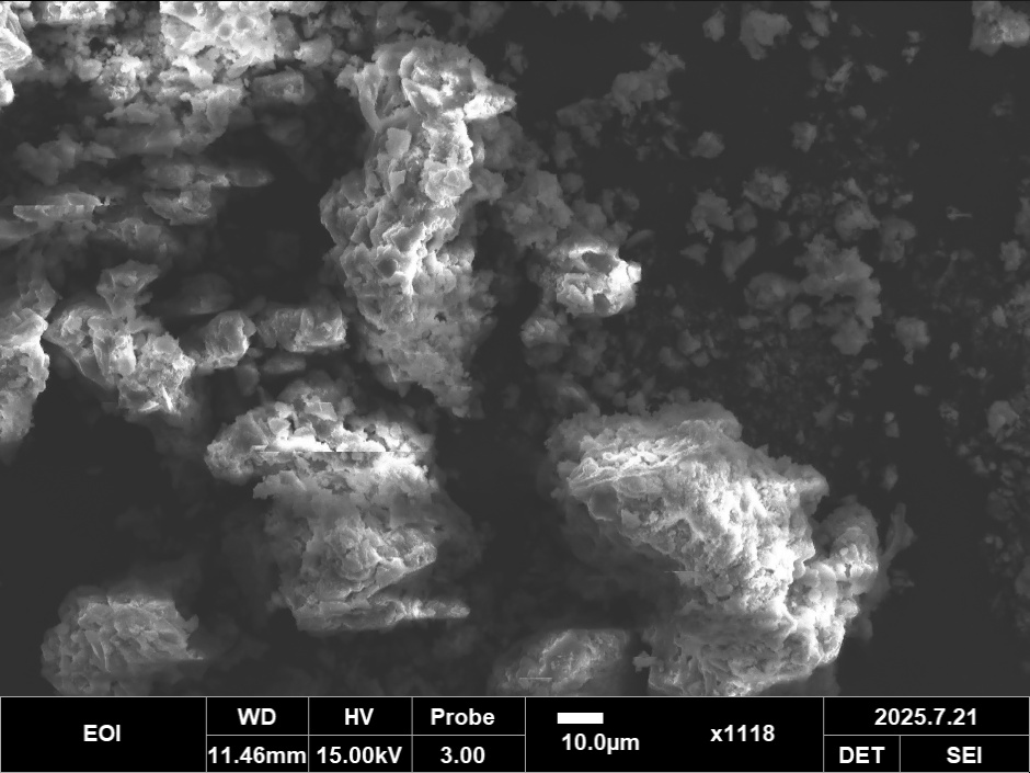 SEM mold 1118x magnification