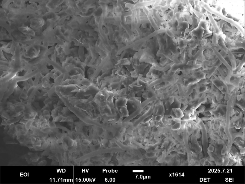SEM mold 1614x magnification