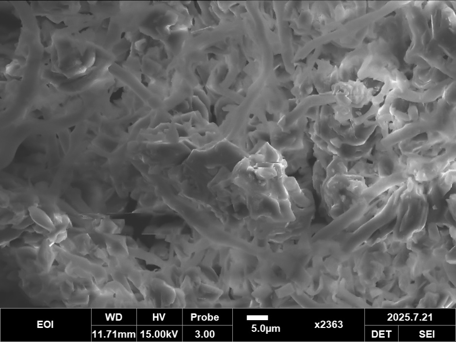 SEM mold 2363x magnification