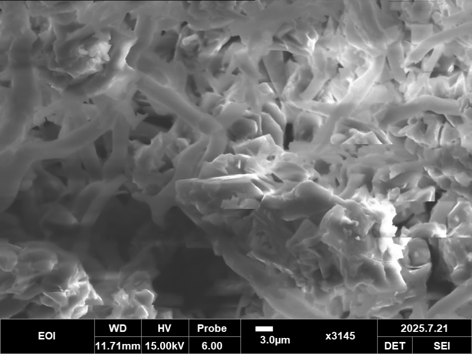 SEM mold 3145x magnification