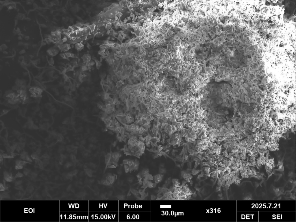 SEM mold 316x magnification
