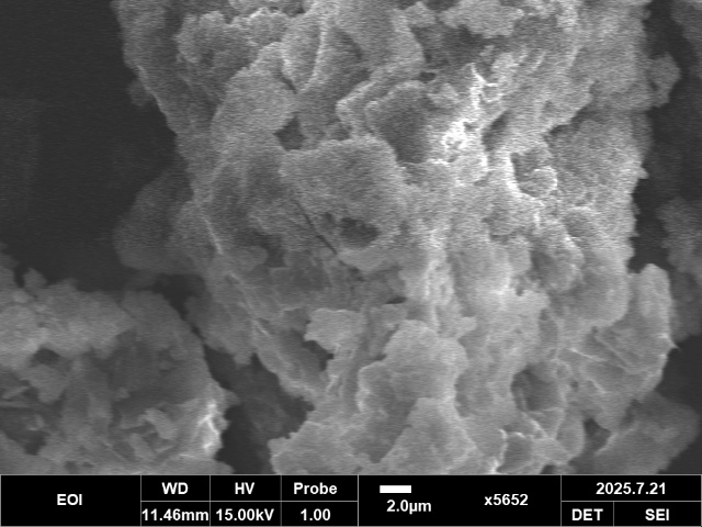 SEM mold 5652x magnification