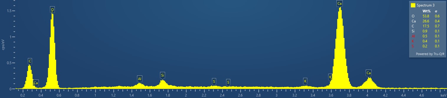 SEM mold sample TS1, hallway closet